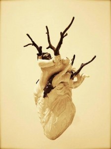 CORCIONE_scultura_cuore