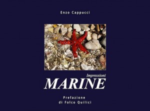 impressioni-marine-libro-fotografico-di-enzo-cappucci_5904